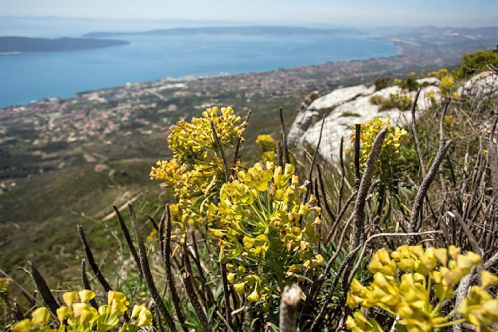 Apartmani Strada Kaštela Exterior foto